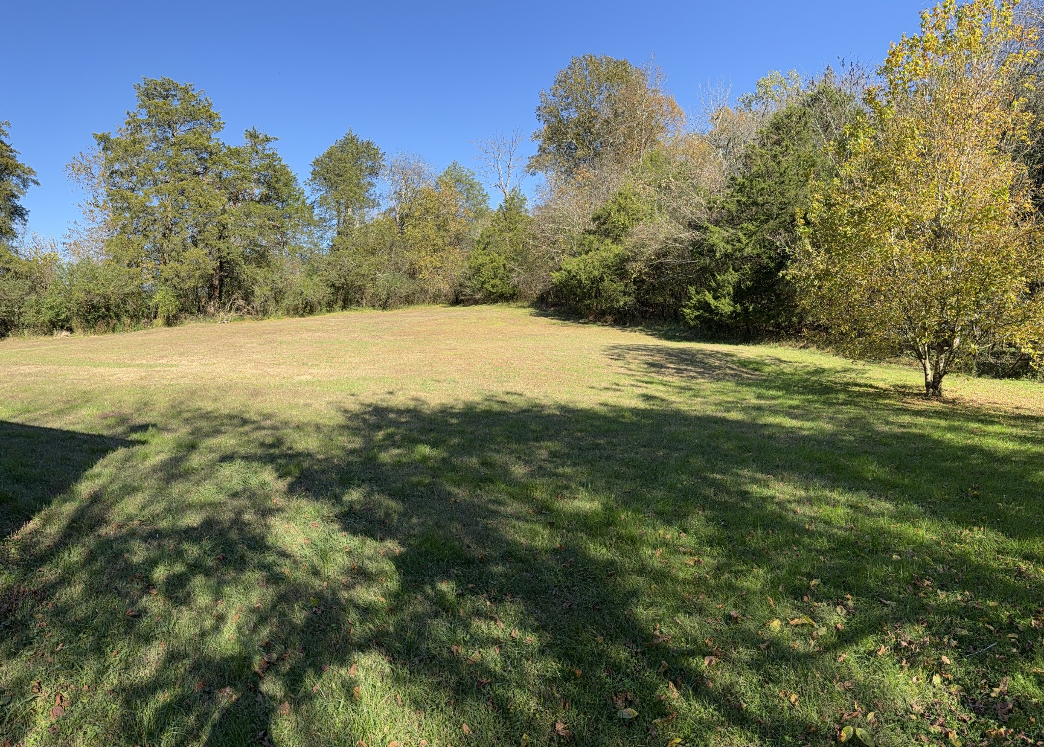 355 Chicken Creek Rd