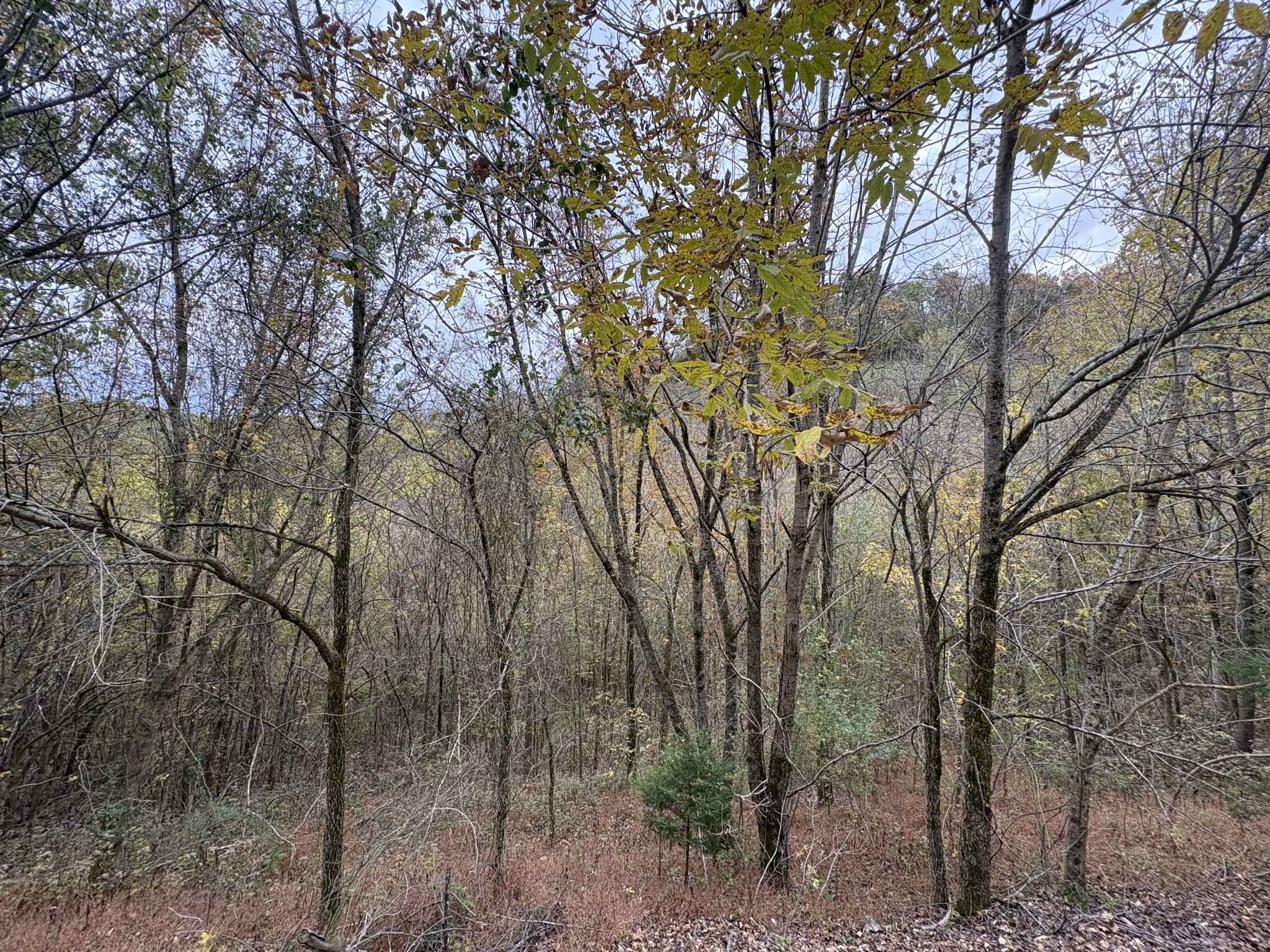 0 Blackberry Ridge Way