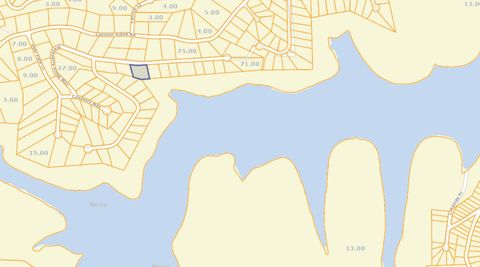 0 Blackberry Ridge Way Smithville TN 37166