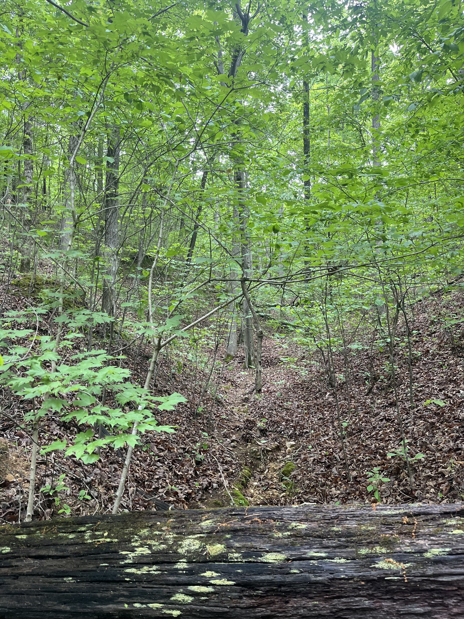 0 Old Mail Road