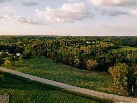 7810 W Lick Creek Rd Primm Springs TN 38476