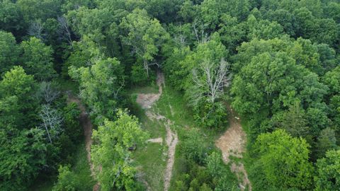 738 Rogues Fork Rd Bethpage TN 37022