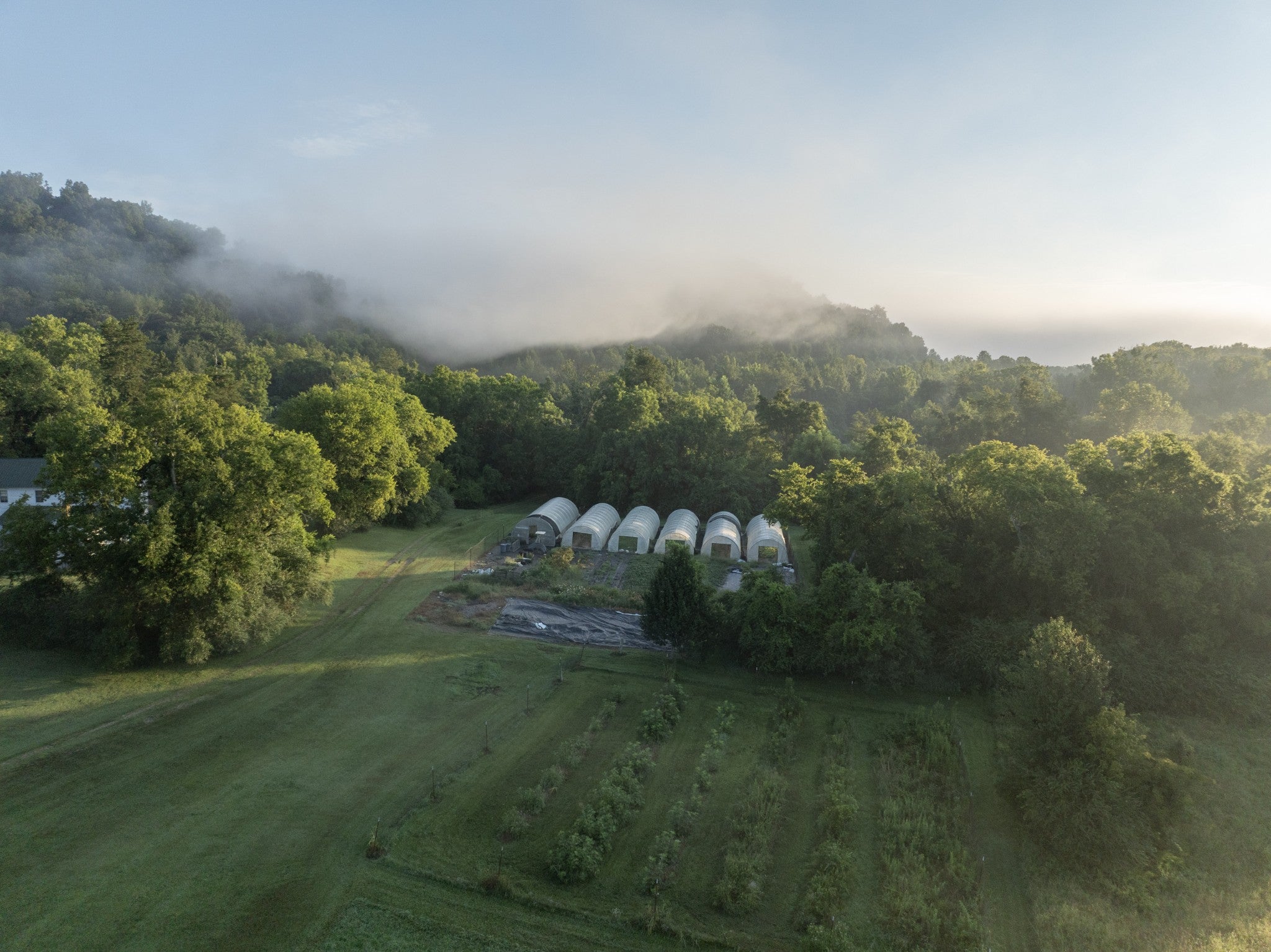 1100 Pond Creek Rd