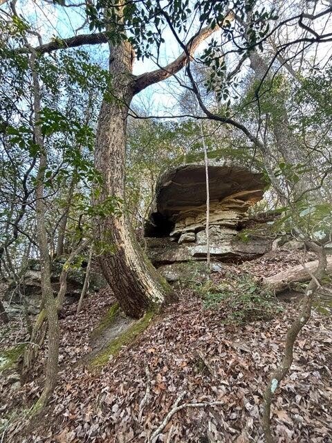 5 Deerhead Road