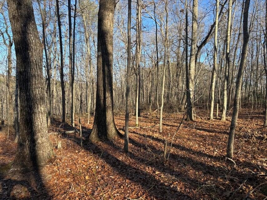 5 Deerhead Road