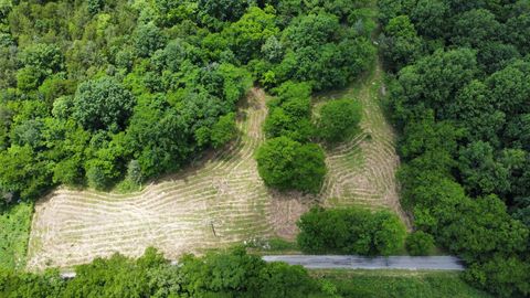 1790 Tolbert Hollow rd Bradyville TN 37026