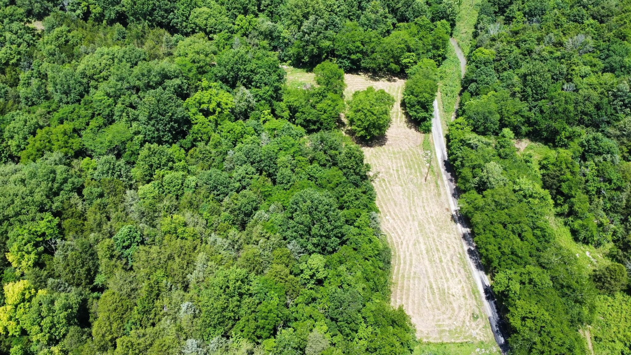 1790 Tolbert Hollow rd