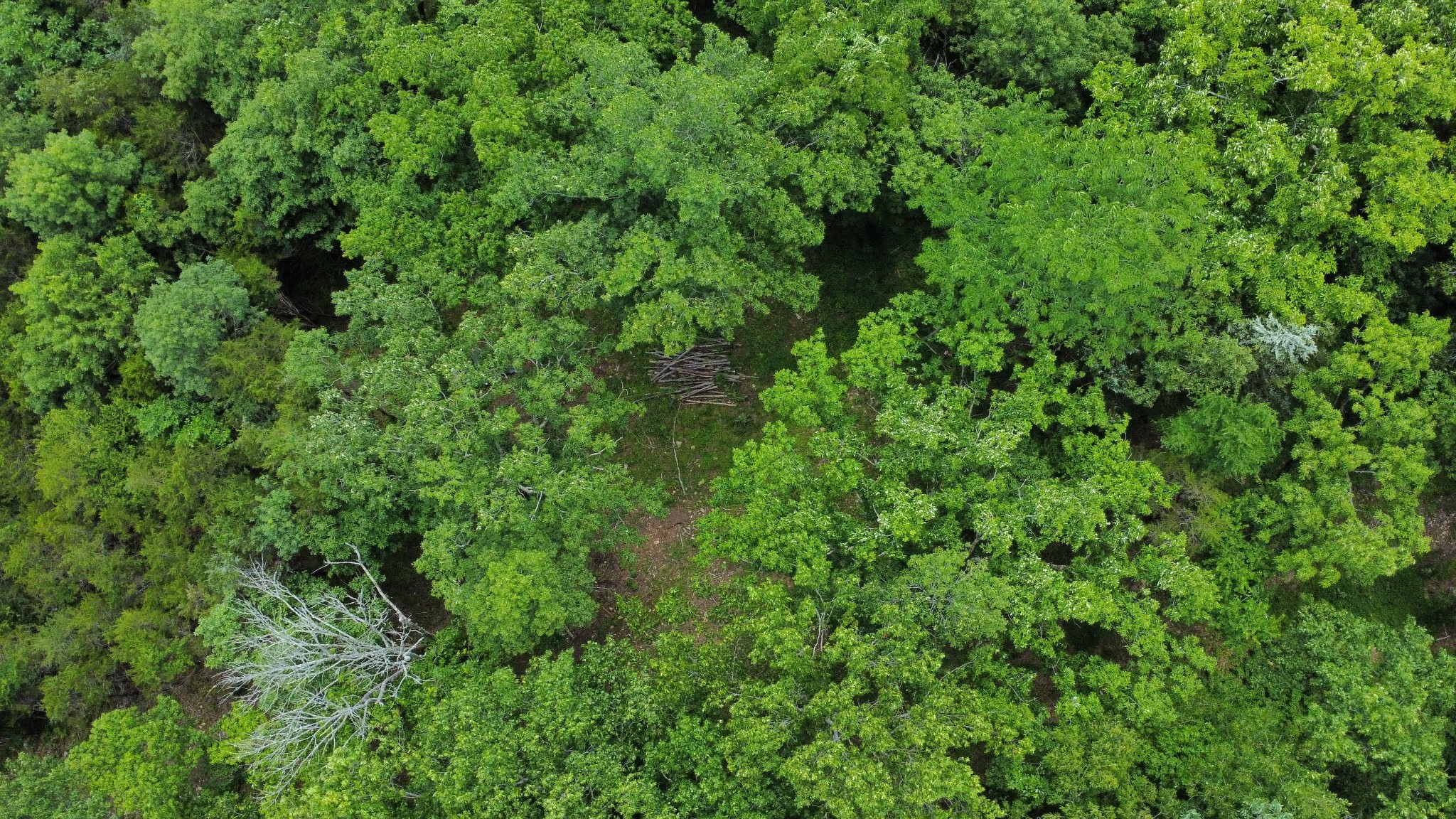 1790 Tolbert Hollow rd