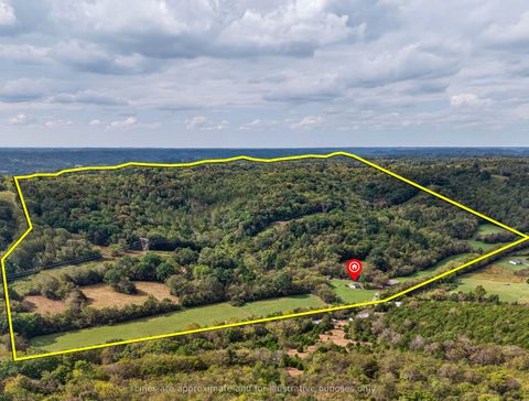 1143 Old Elkton Pike Dellrose TN 38453