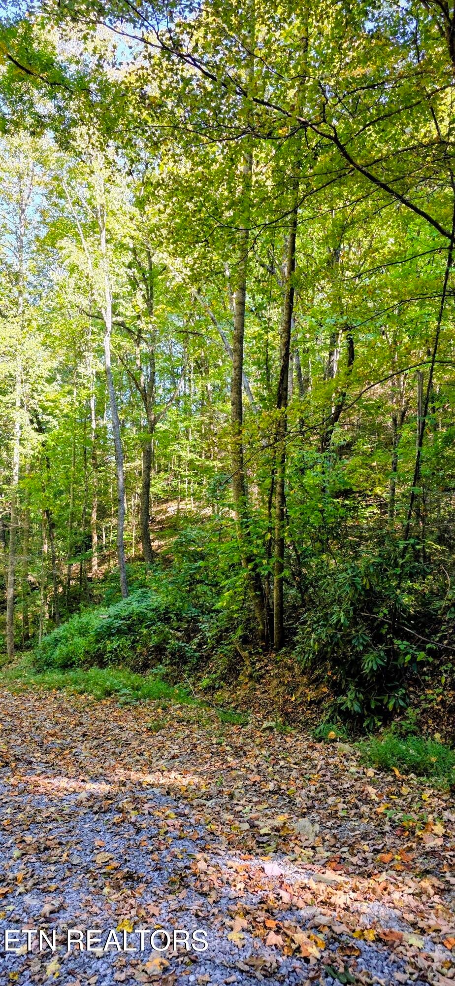 0 Balsam Slopes Rd
