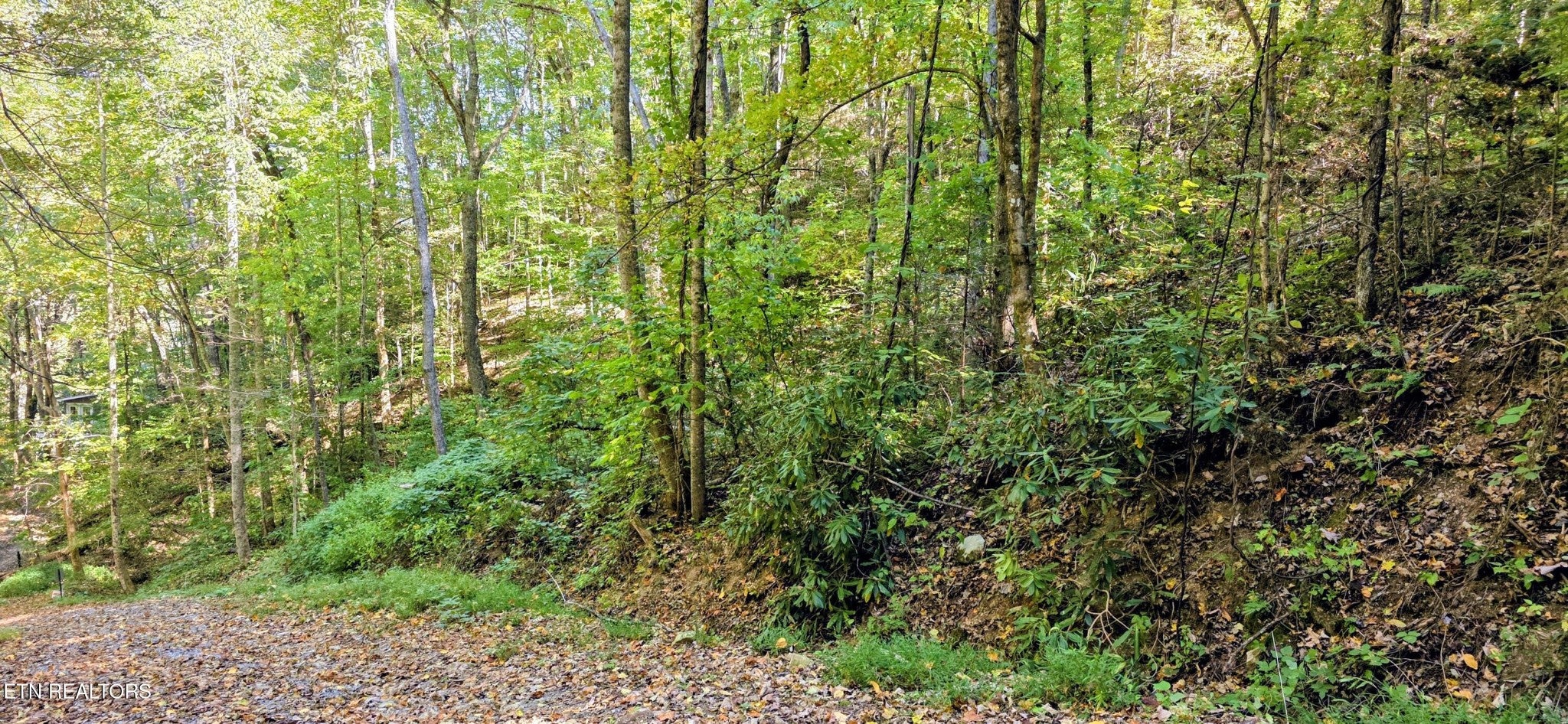 0 Balsam Slopes Rd
