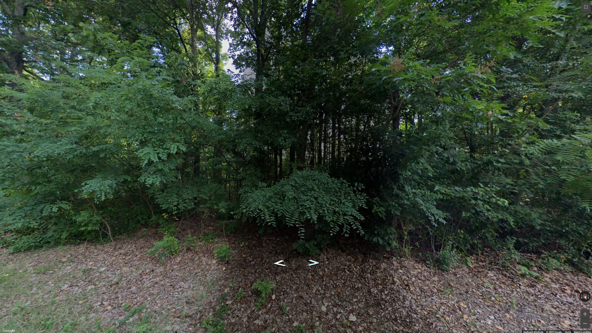 1175 Nora Ln