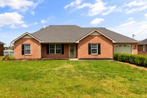 8017 Valencia Dr Smyrna TN 37167