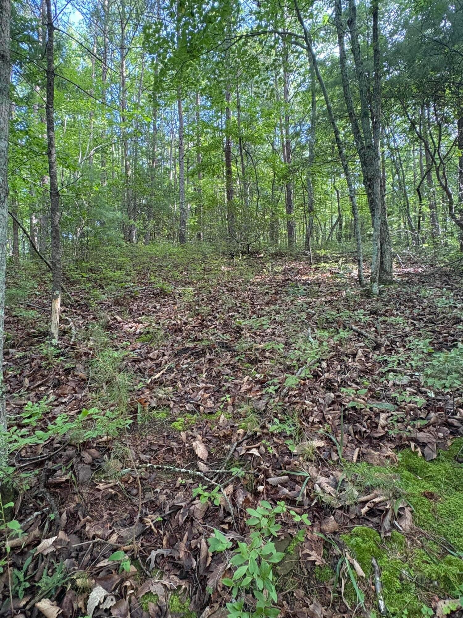 2 Old Furnace Road