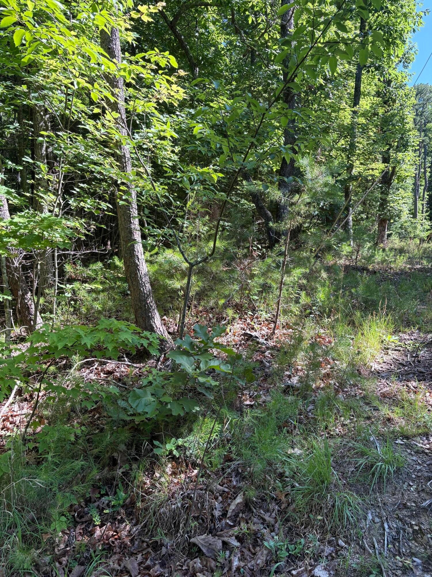 2 Old Furnace Road
