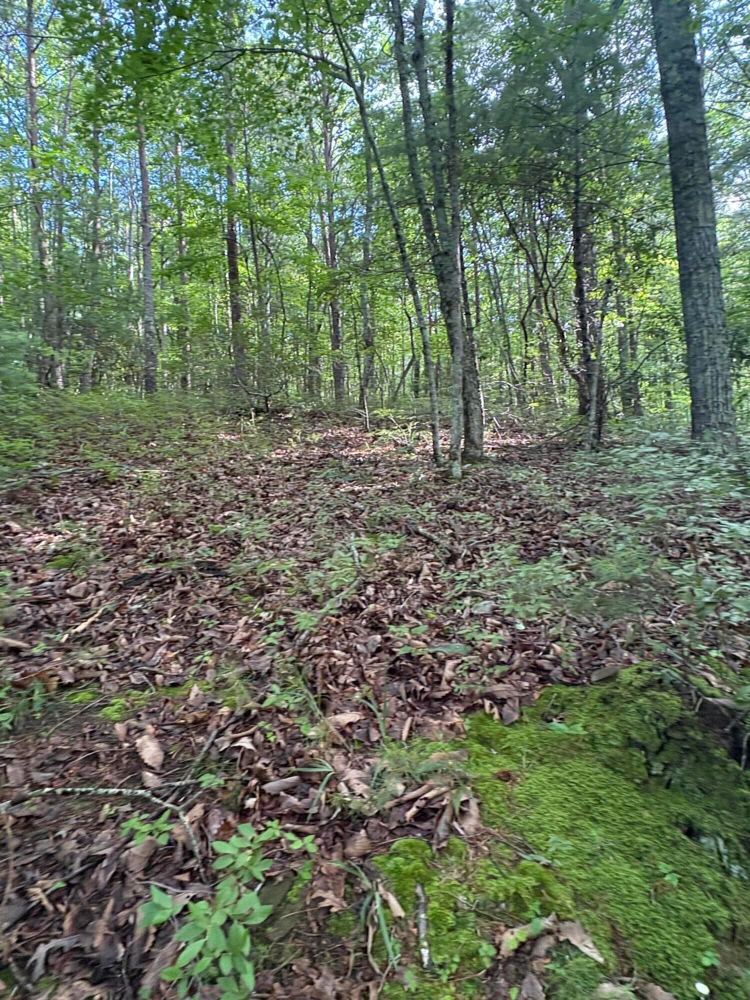 2 Old Furnace Road