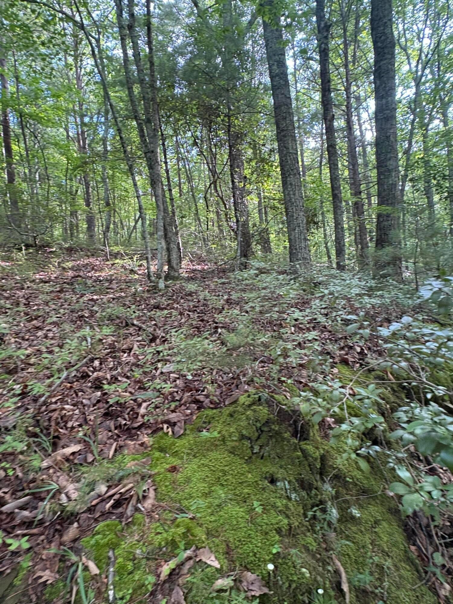 2 Old Furnace Road