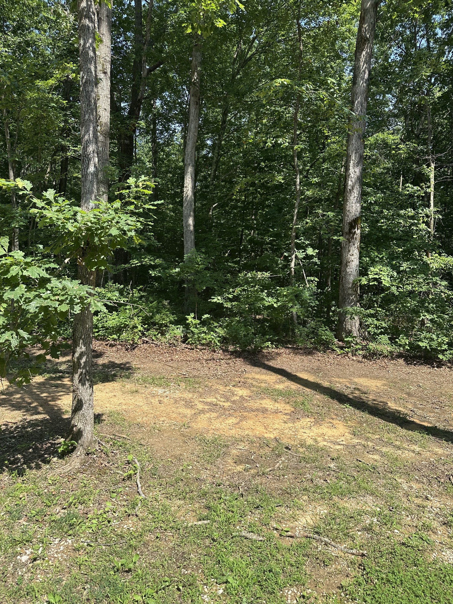 27 Mossy Rock LN