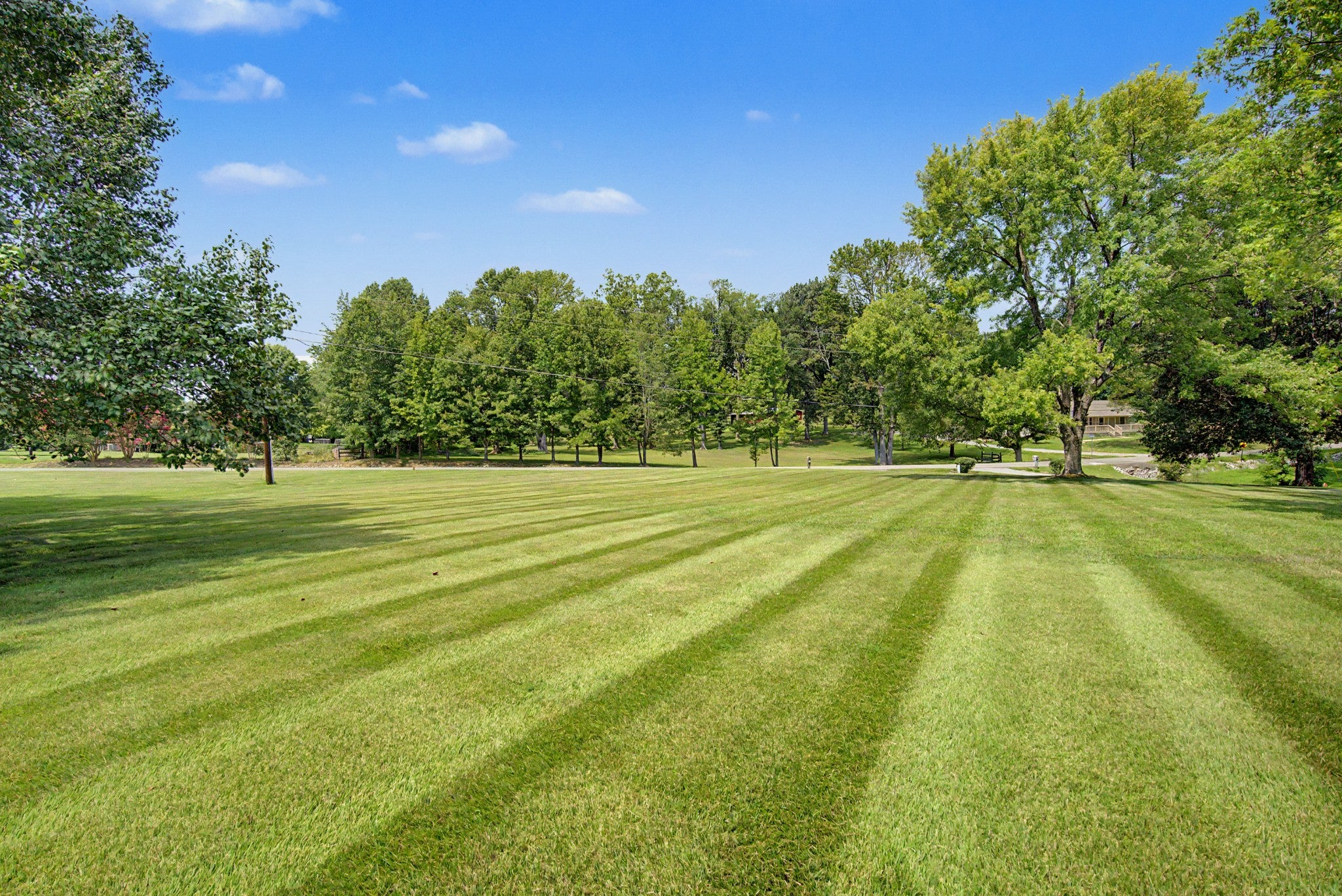 356 Lee Rd