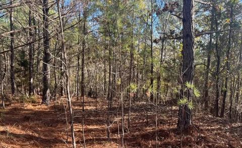 5030 Sand Mountain Rd Enville TN 38332