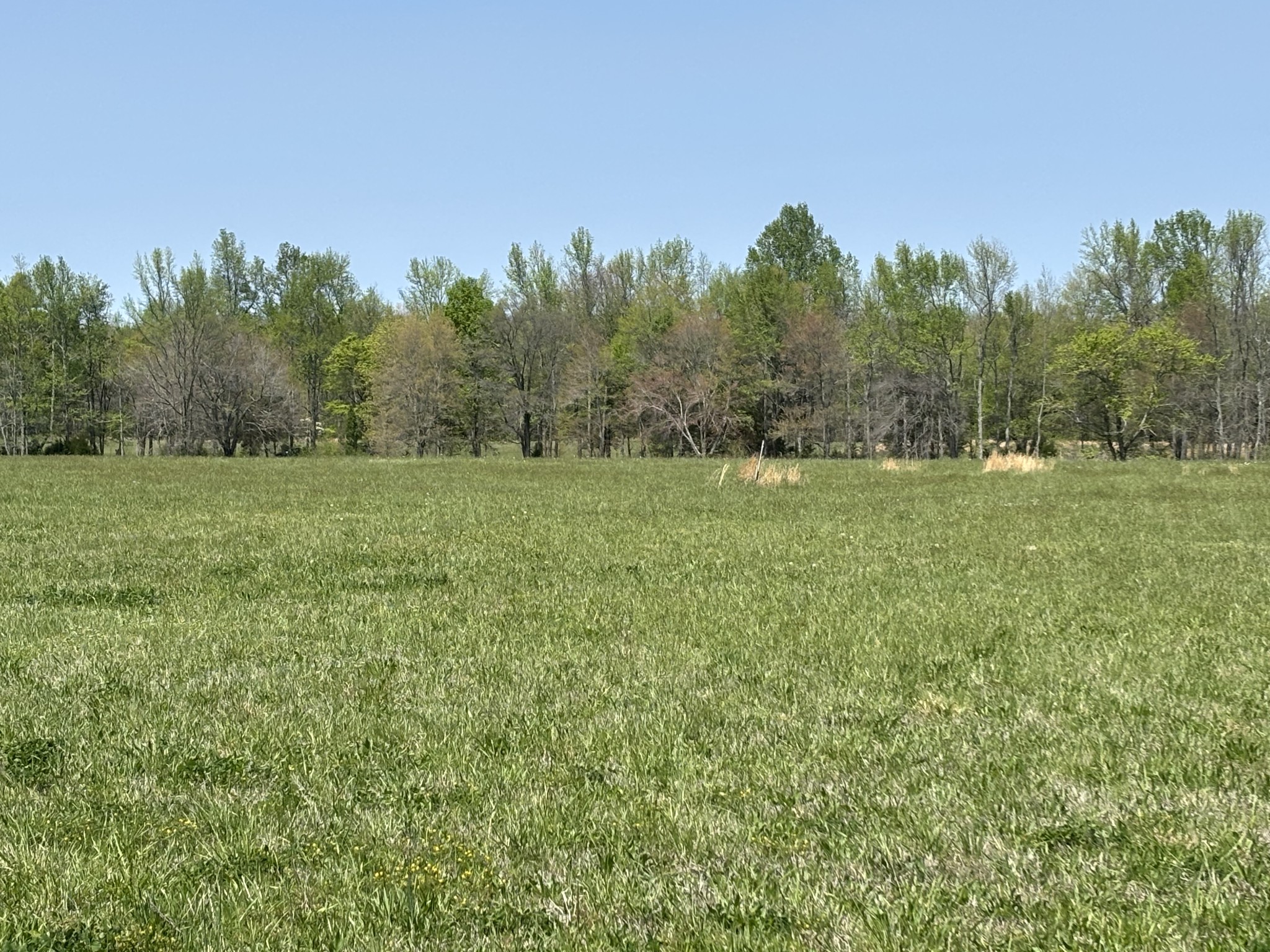 0 Hollow Springs Road