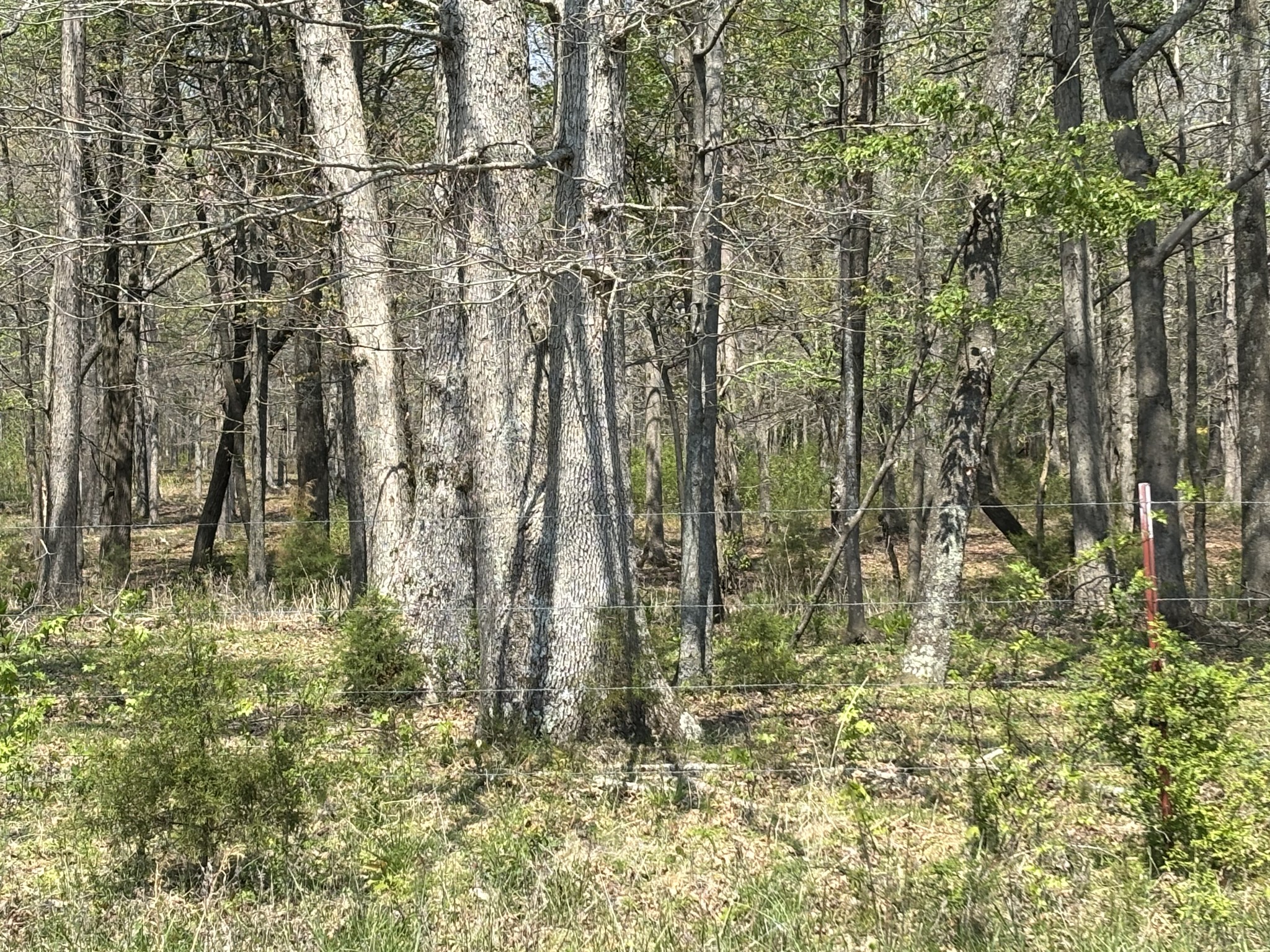 0 Hollow Springs Road