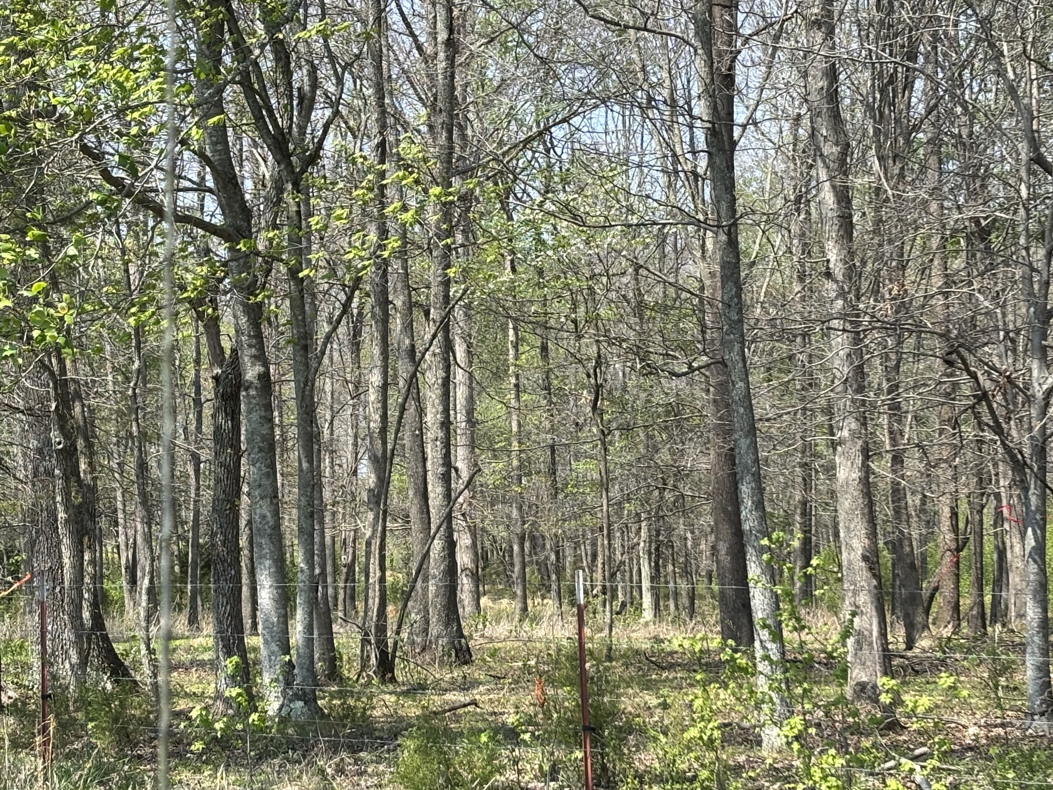 0 Hollow Springs Road