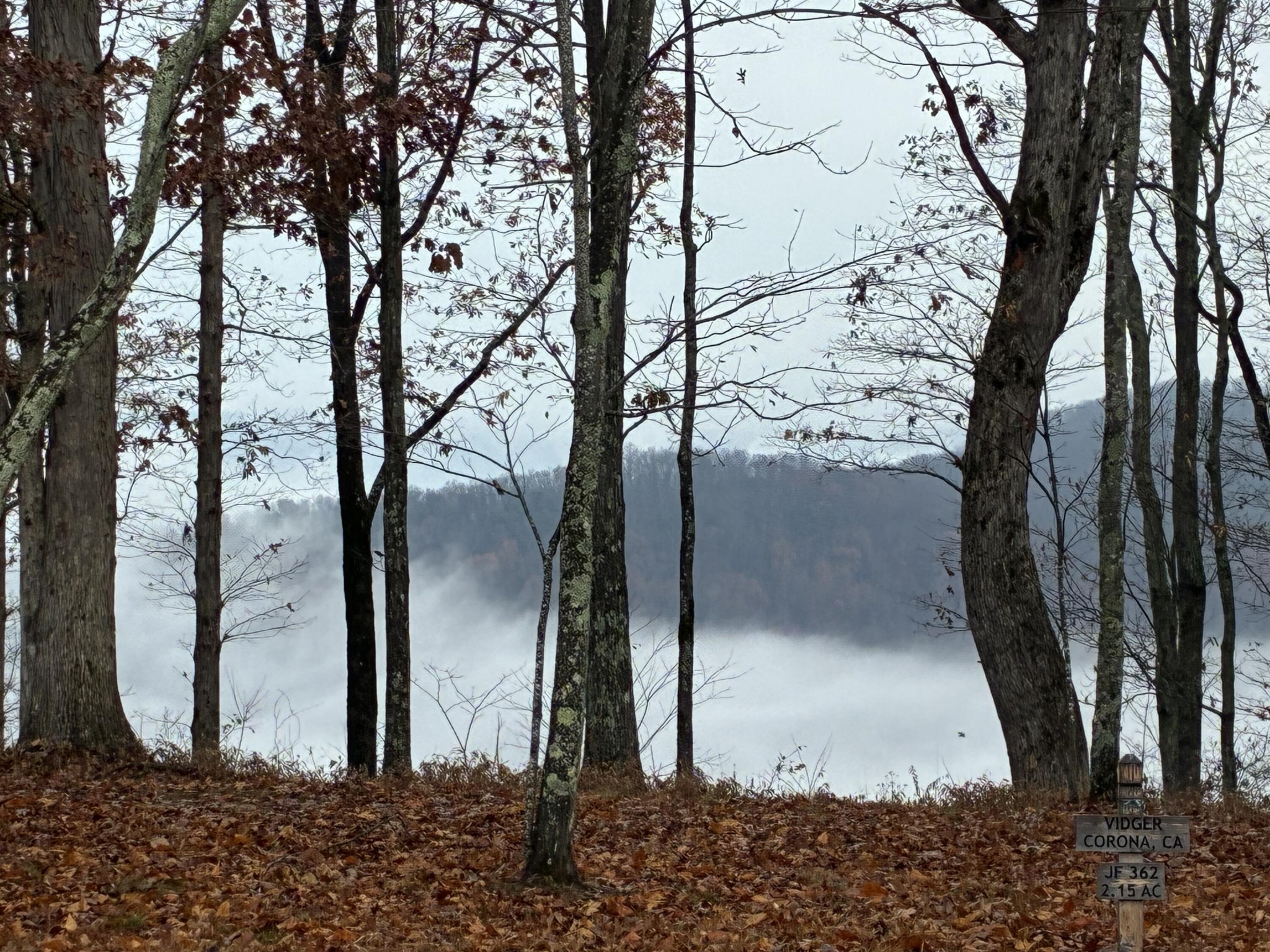 460 Volunteer Street