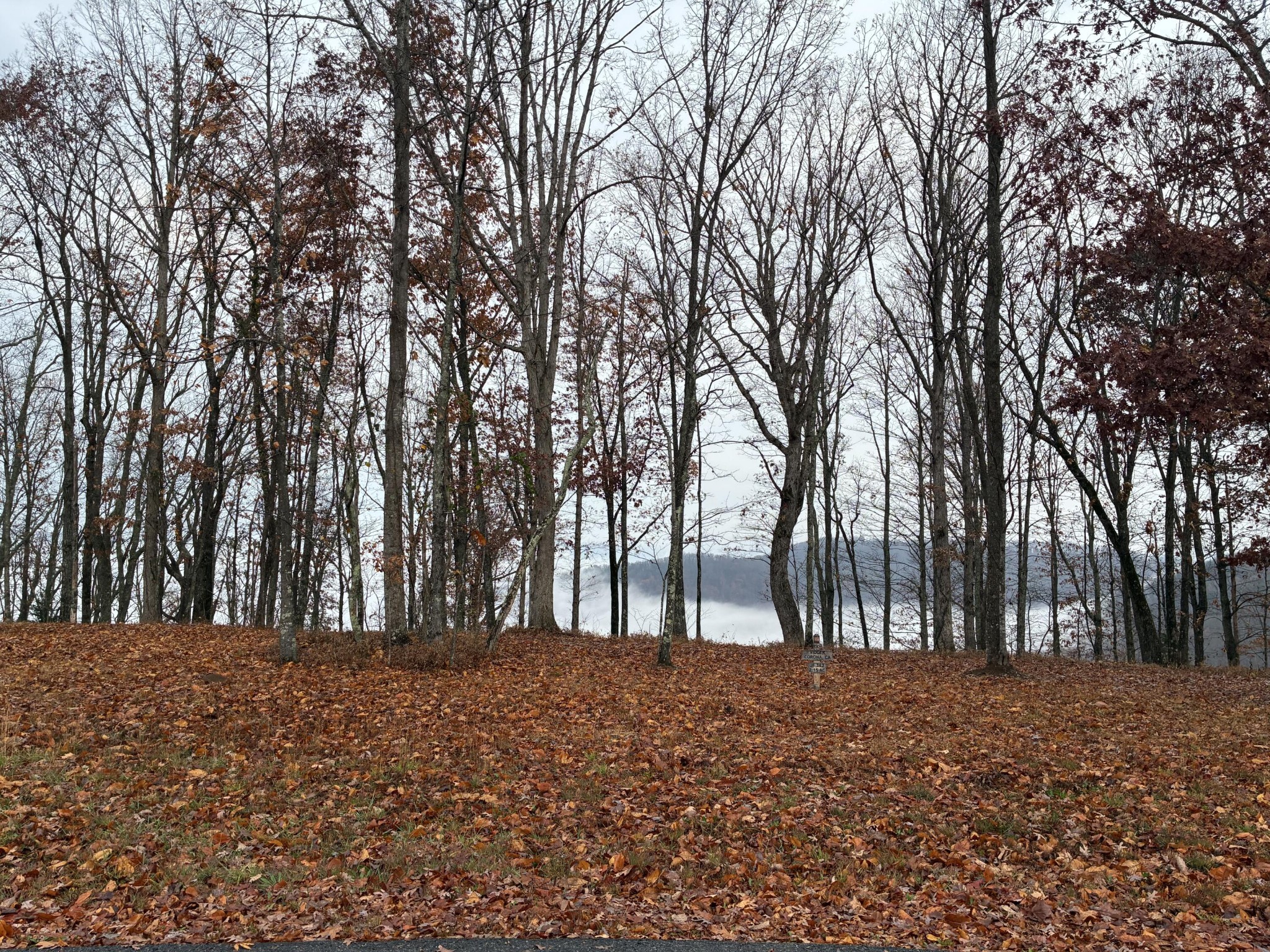 460 Volunteer Street