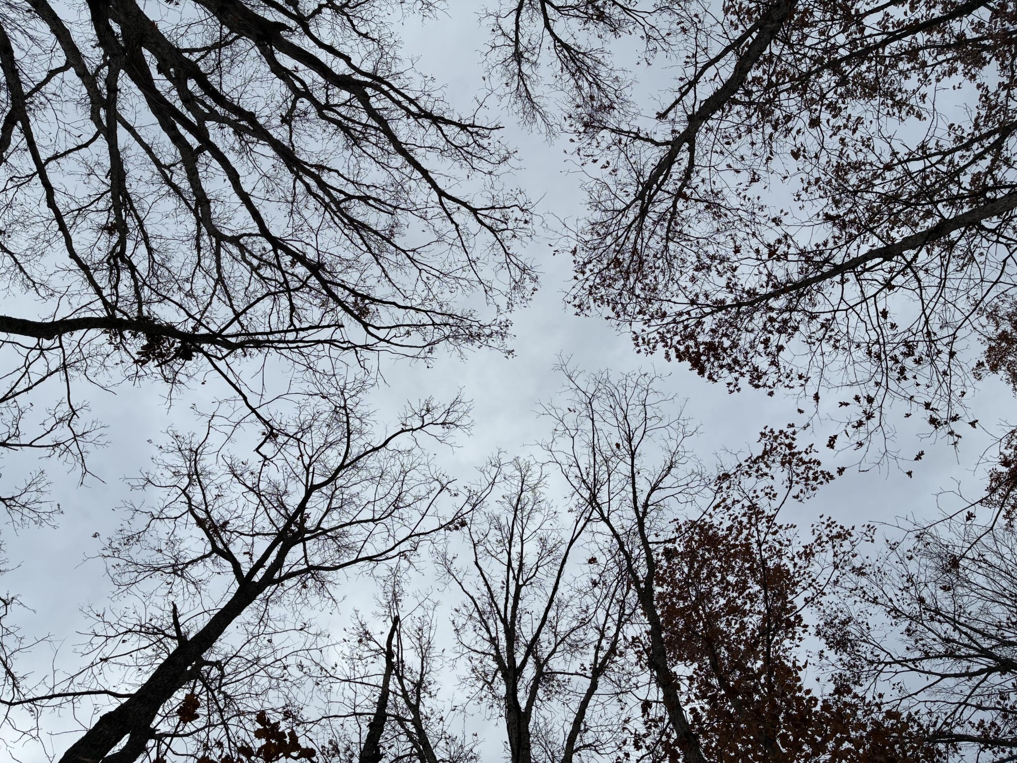 460 Volunteer Street