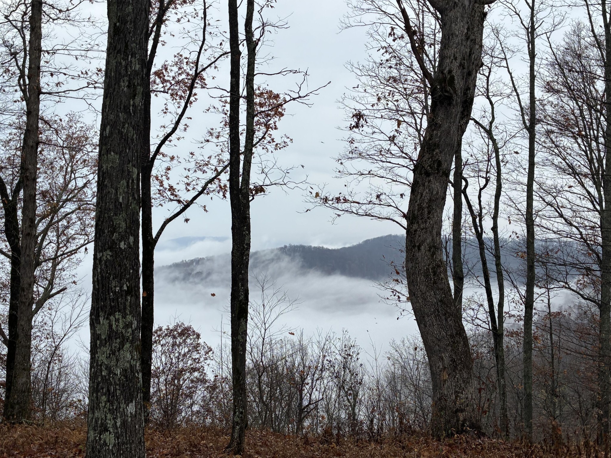 460 Volunteer Street