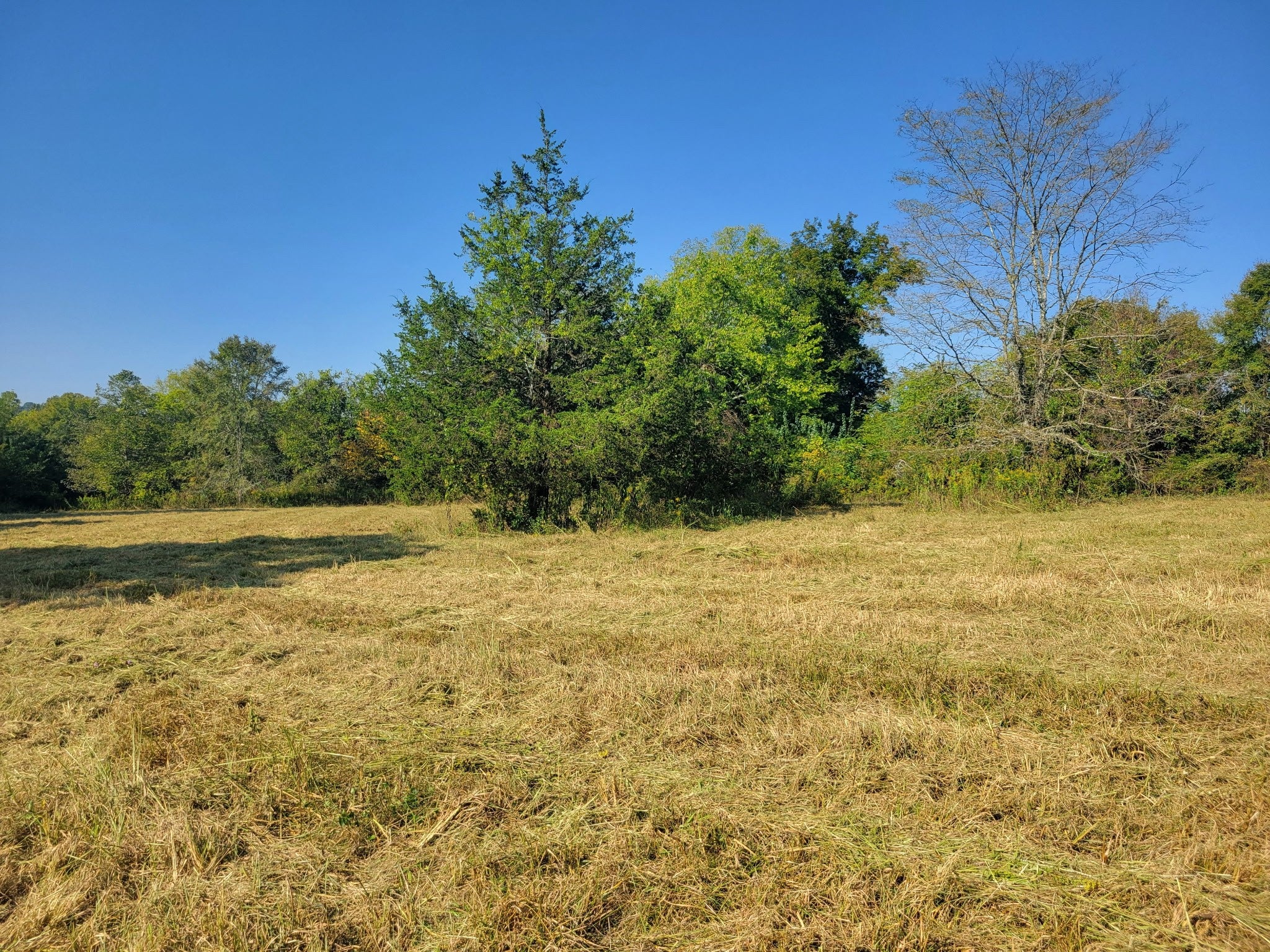 8 Double Branch Road