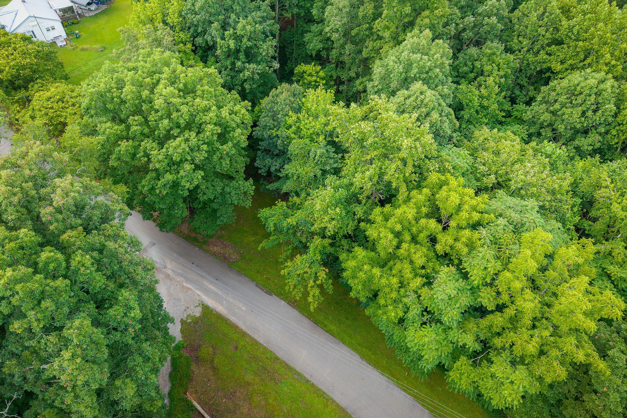 1149 Camp Overton Rd