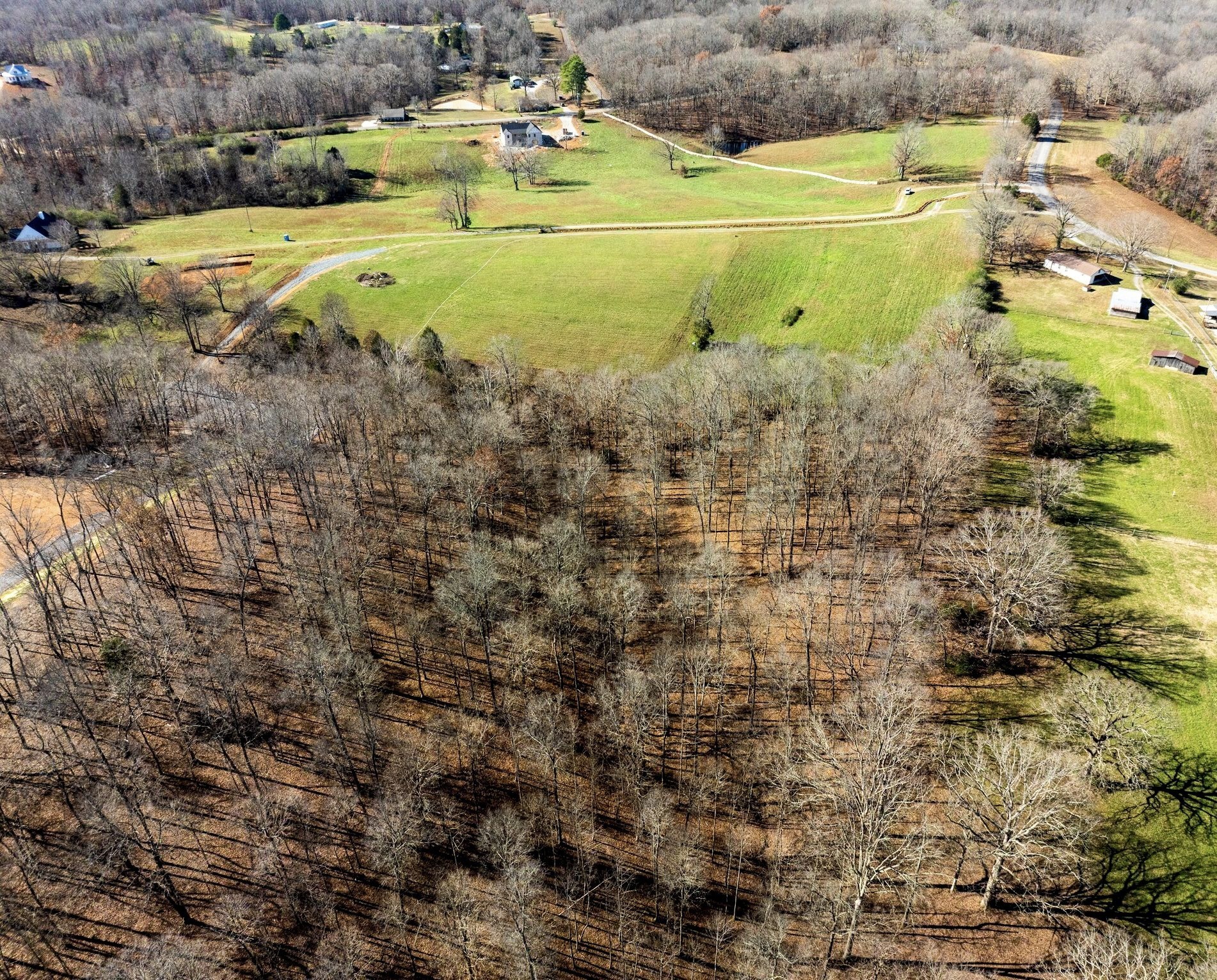 1087 Cowan Rd