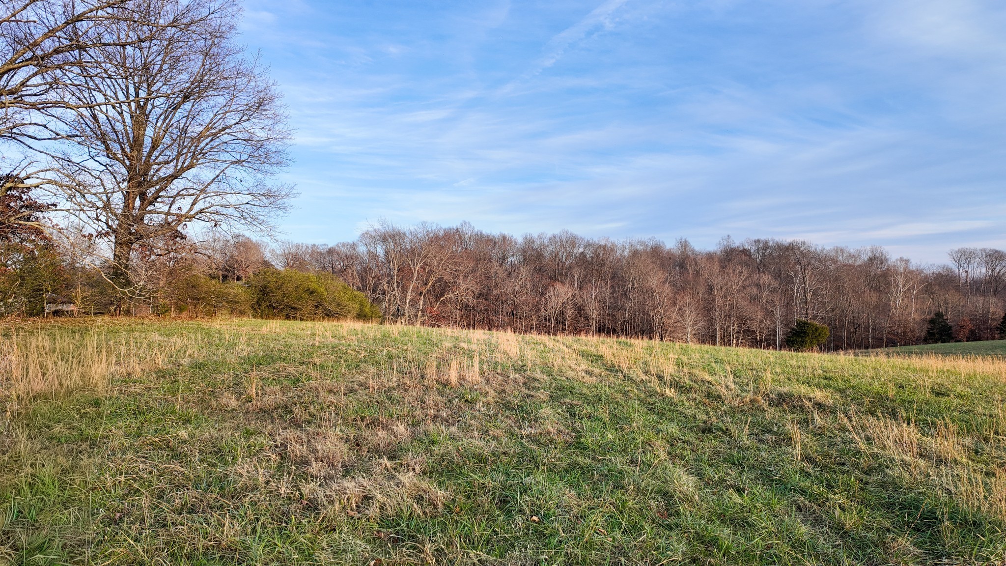 1087 Cowan Rd