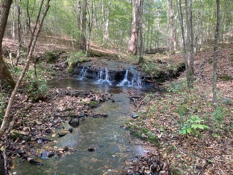 635 Cane Creek Rd Hohenwald TN 38462