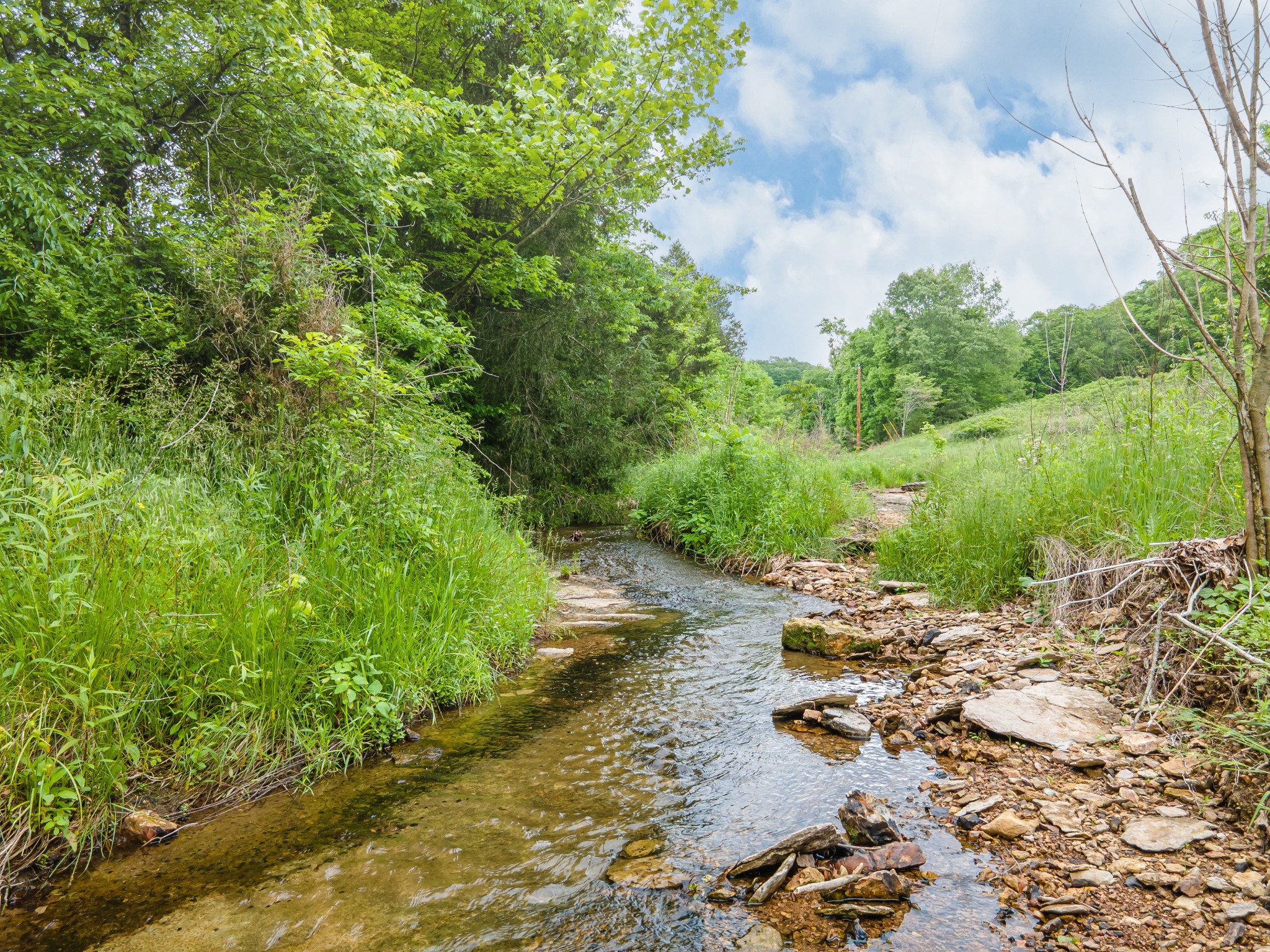 2222 Mack Branch Rd