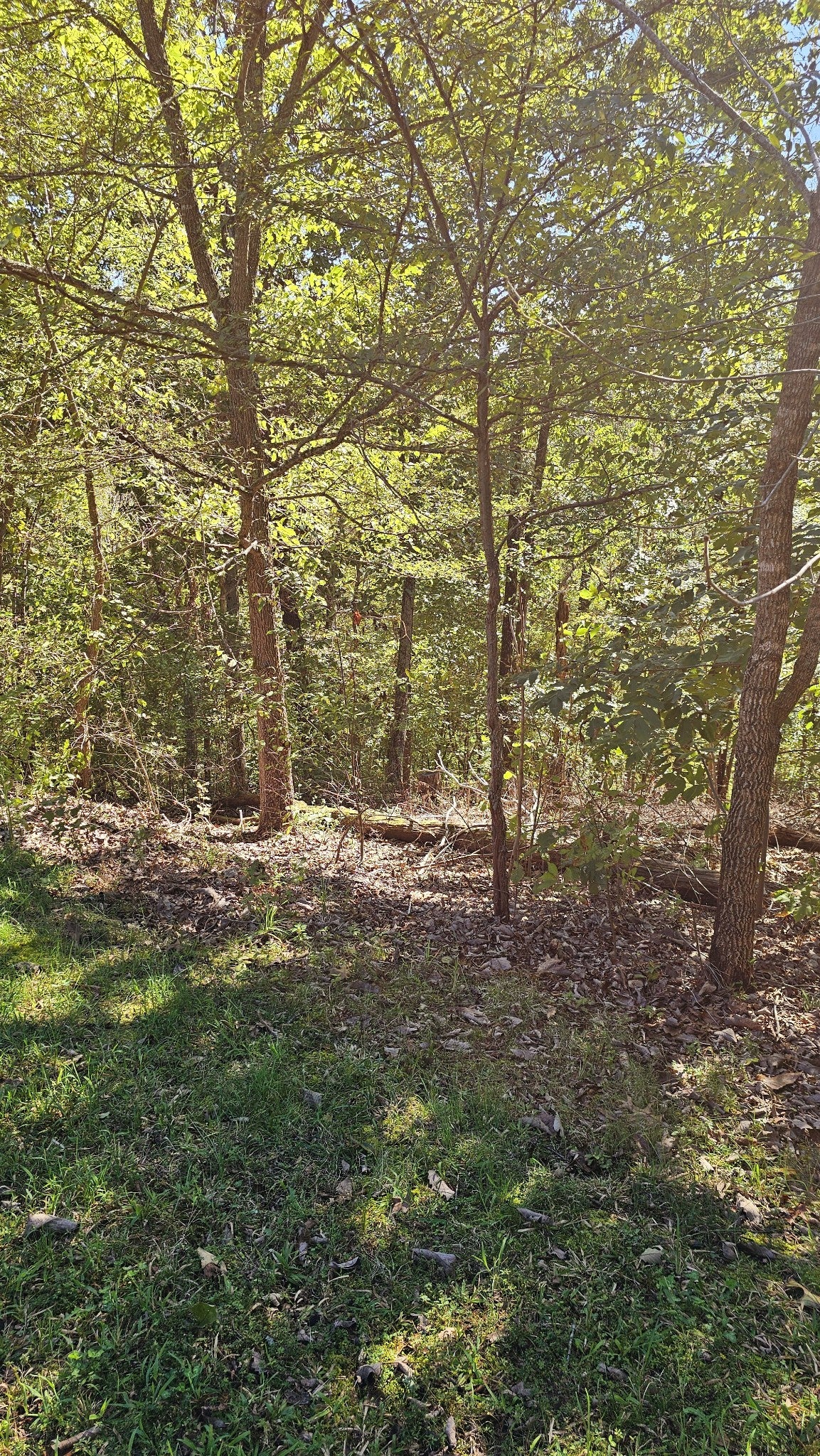 0 Big Richland Drive