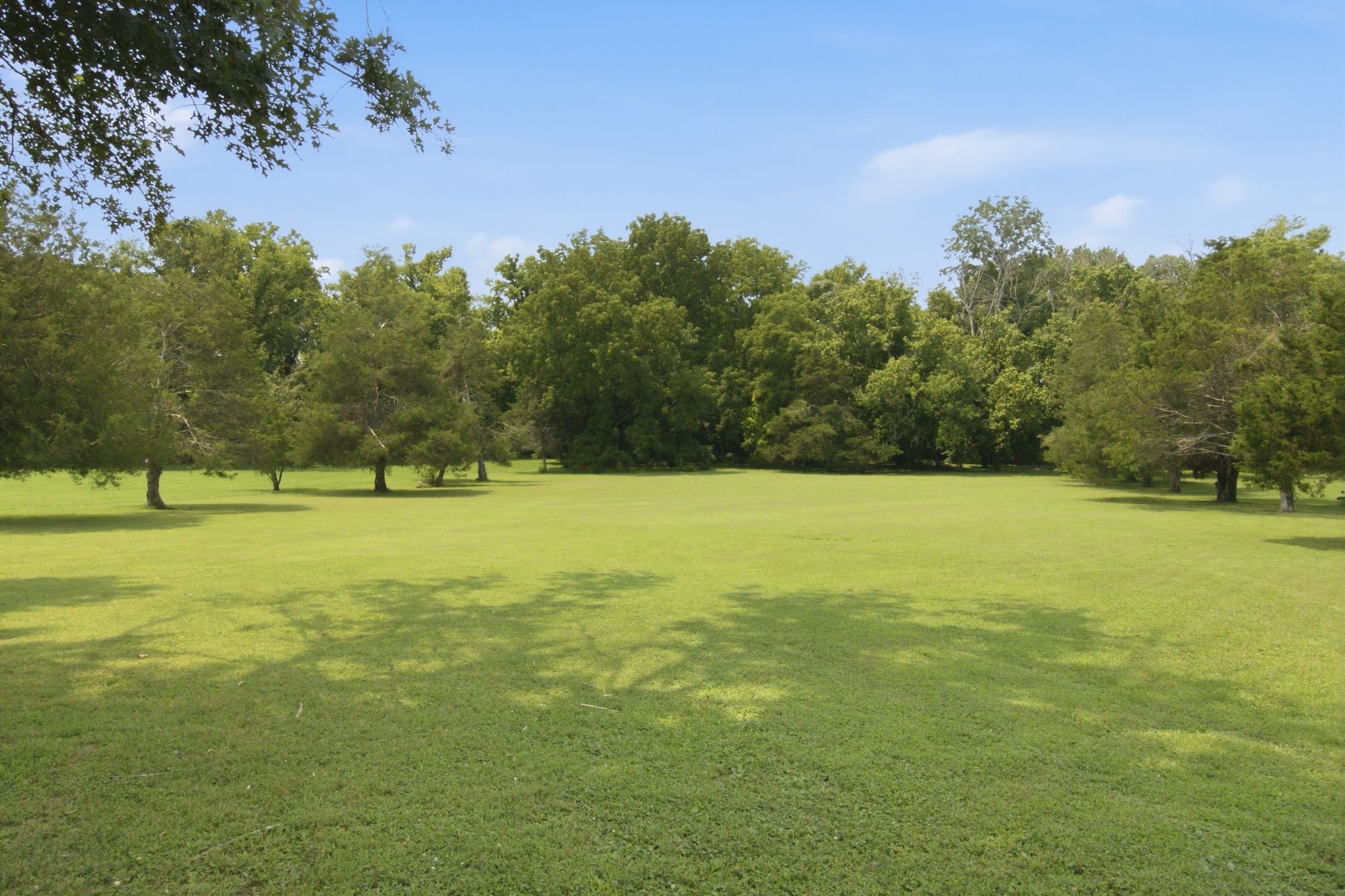 322 Alden Cove Dr