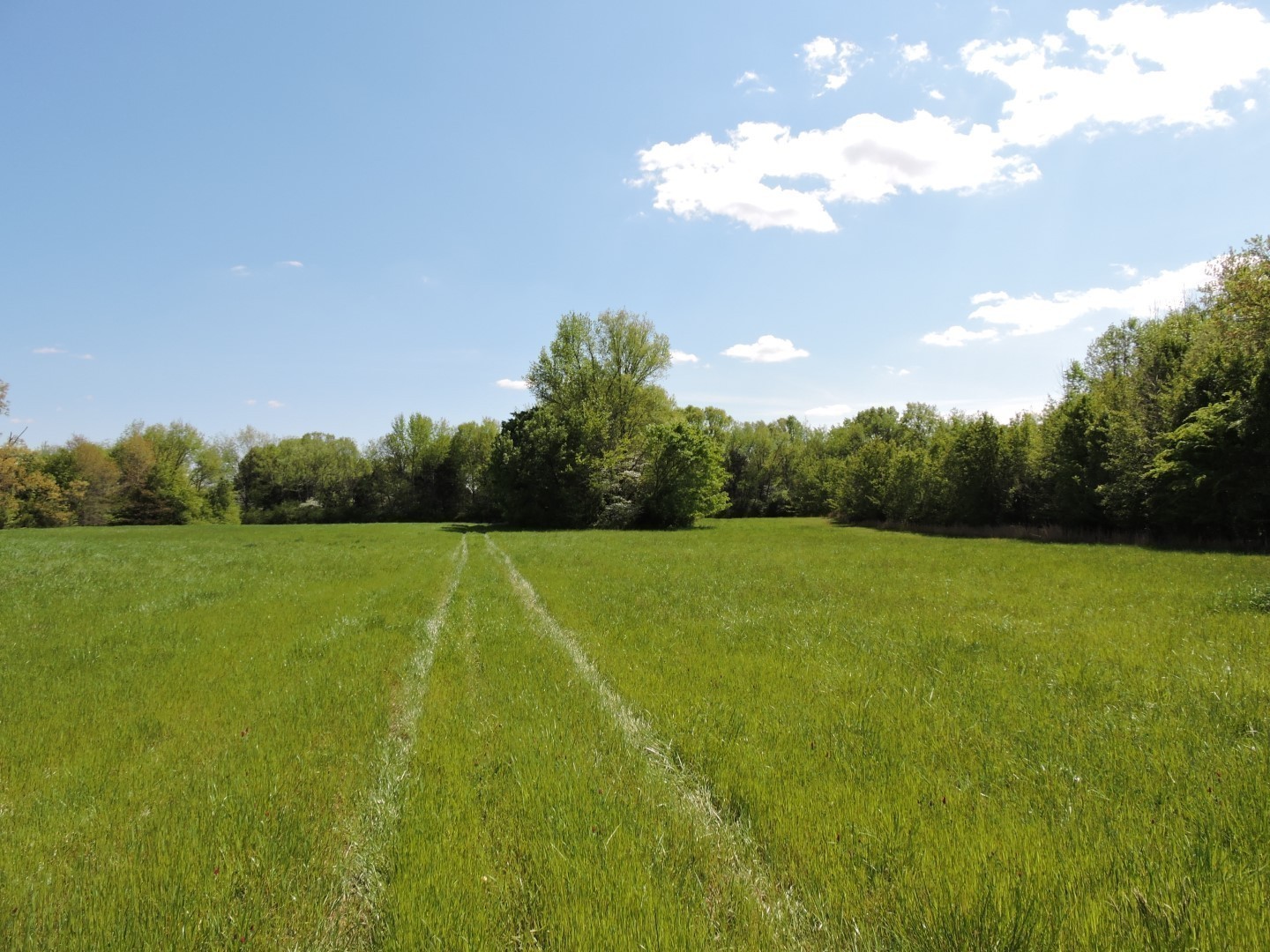0 Lynchburg Road