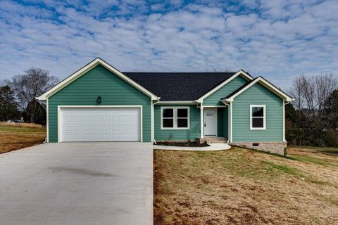 104 County Road 155 Riceville TN 37370