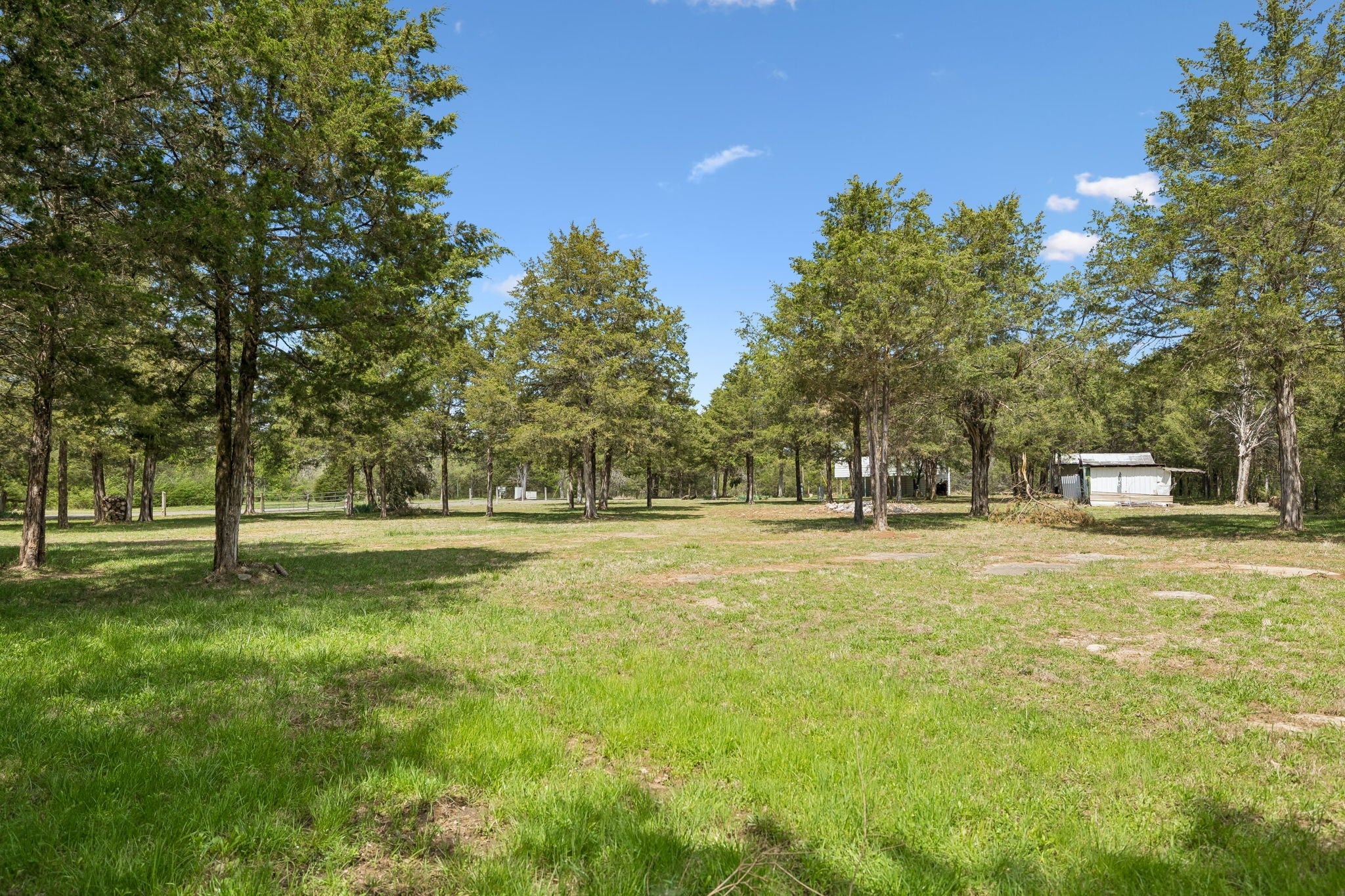 160 Osteen Ln