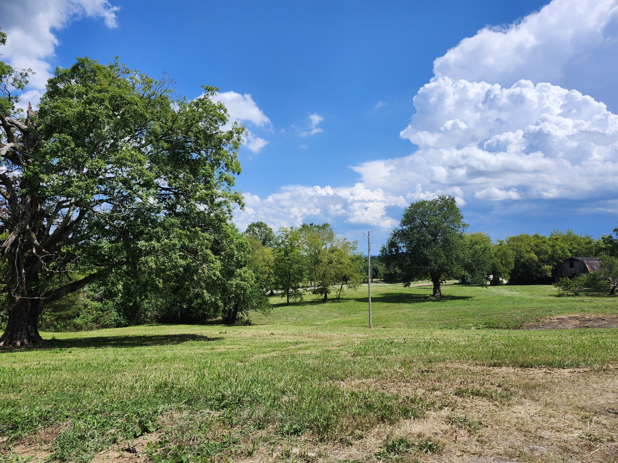 View Wartrace, TN 37183 land