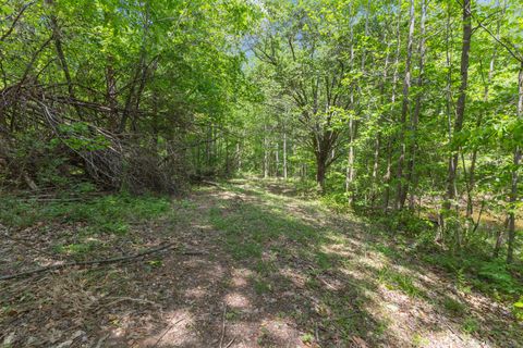 671 Poplar Ridge Rd Chapmansboro TN 37035