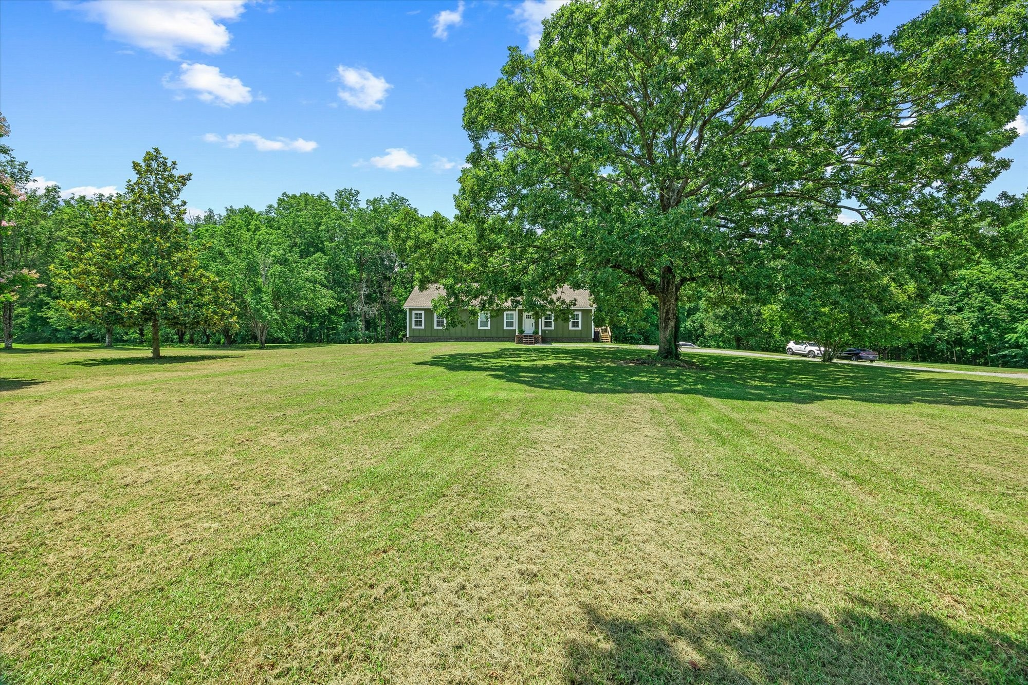 347 Hailey Ridge Ln