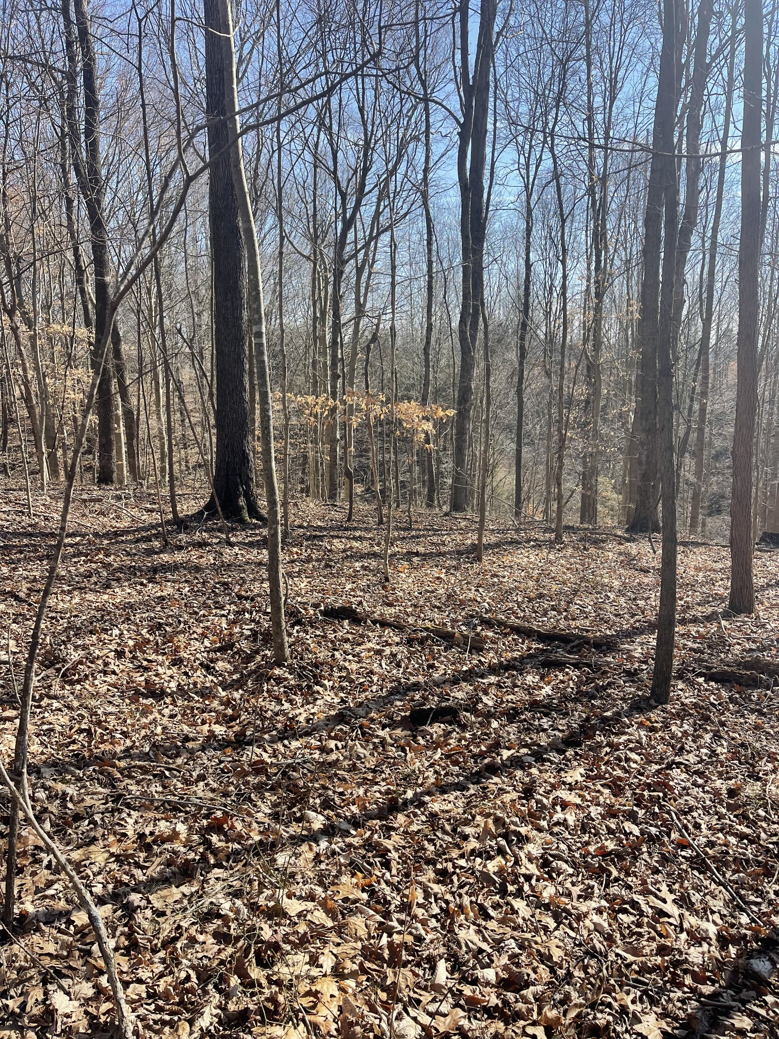 165 Pleasant hill road