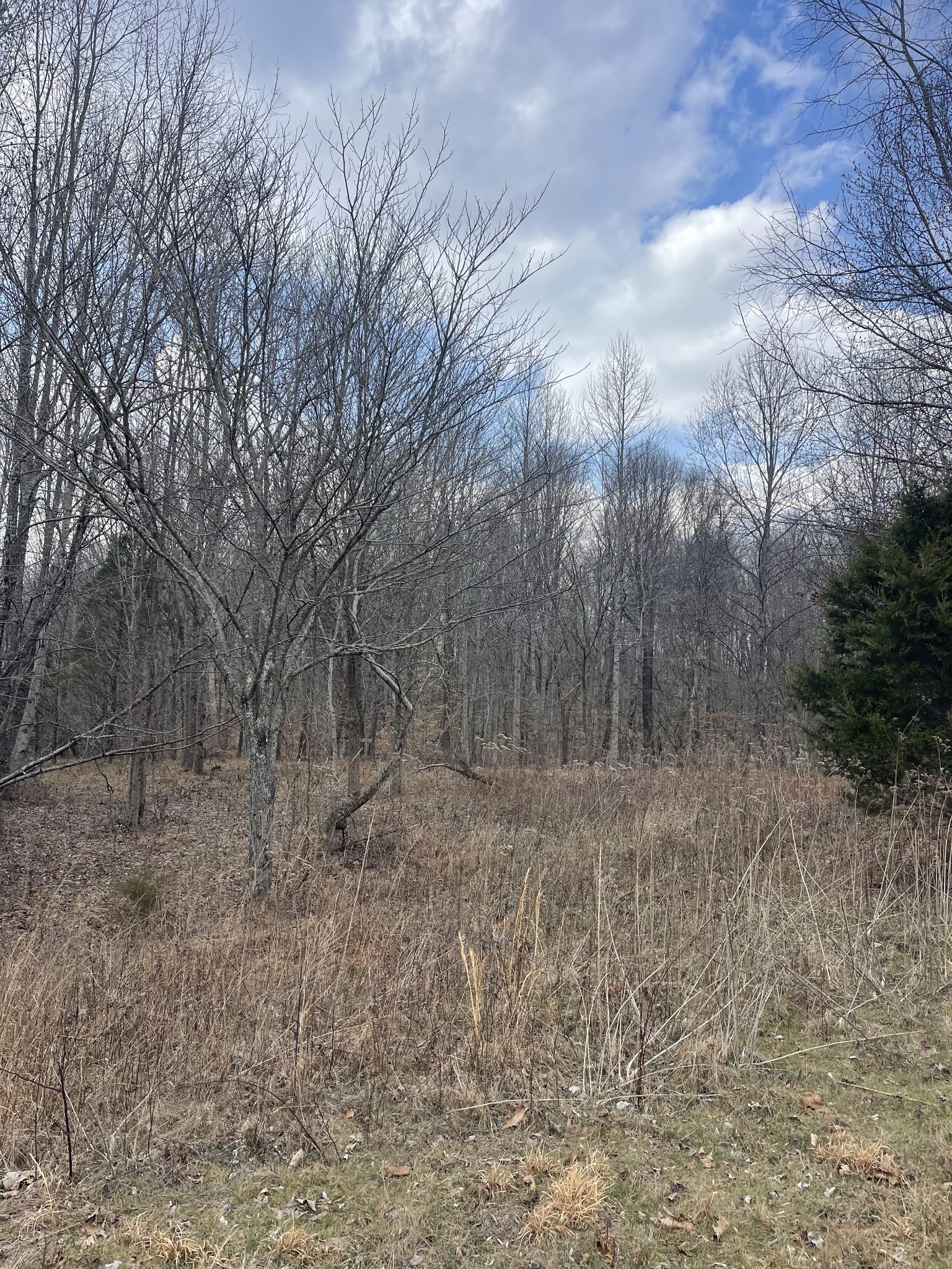 165 Pleasant hill road