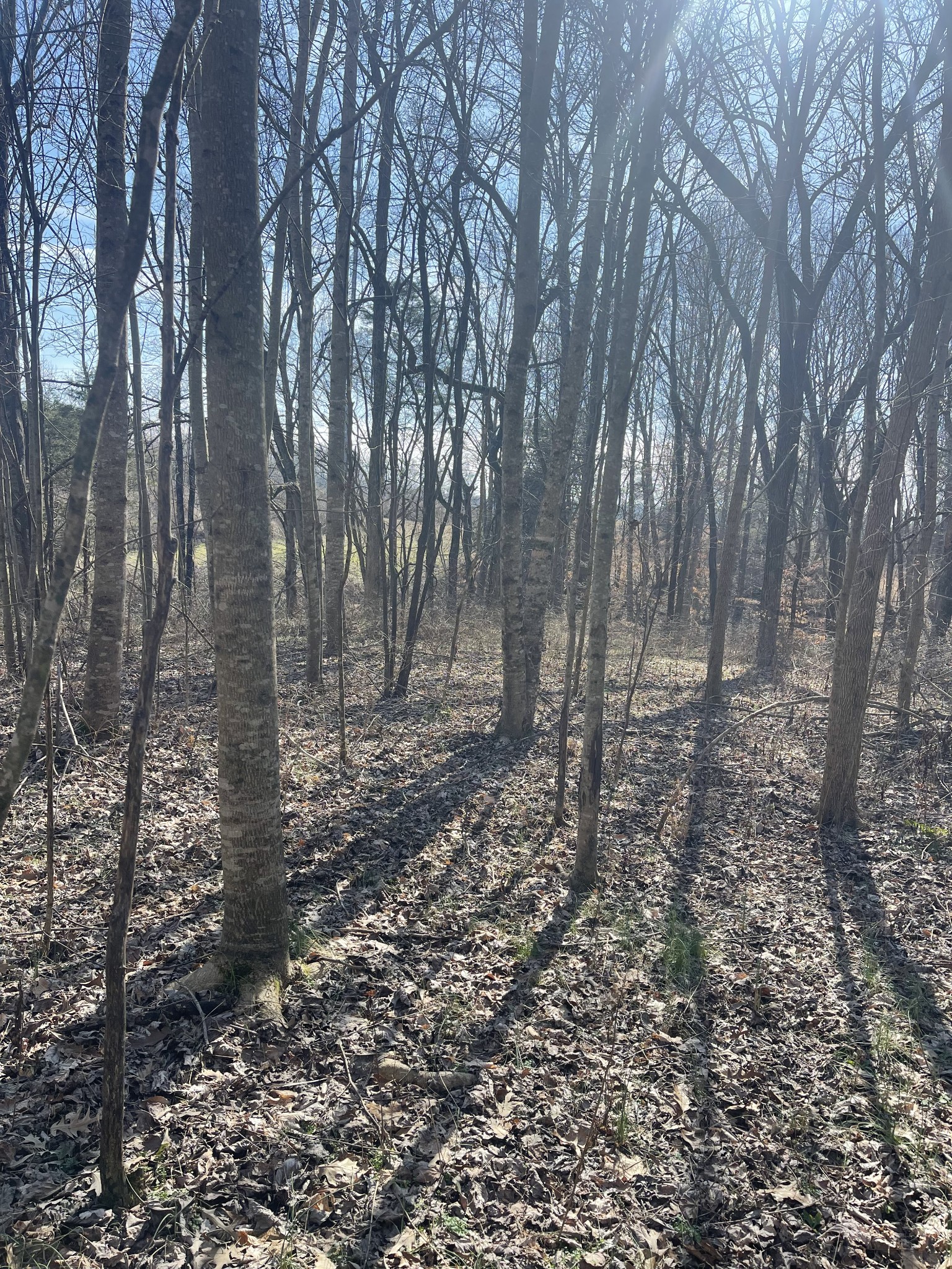 165 Pleasant hill road