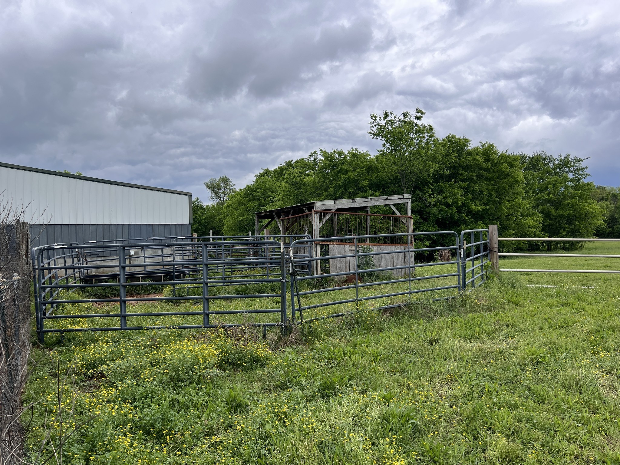 138 Coleman Harvey Ln