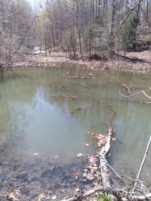 29 GIbbs Rd